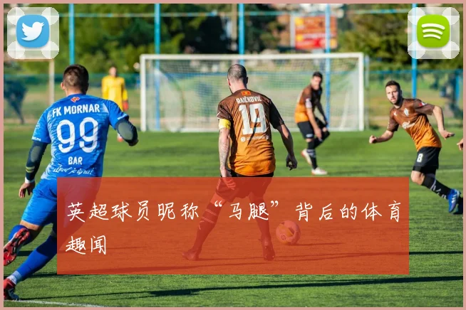 英超球员昵称“马腿”背后的体育趣闻