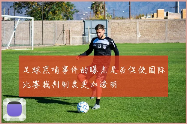 足球黑哨事件的曝光是否促使国际比赛裁判制度更加透明