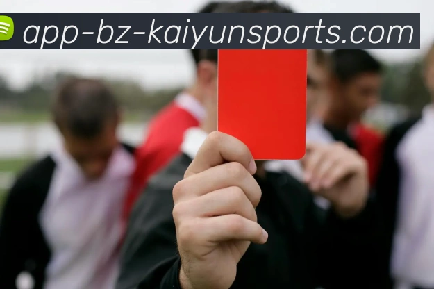 App Interface Preview